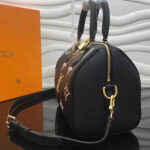 Louis Vuitton Speedy M58947 Black